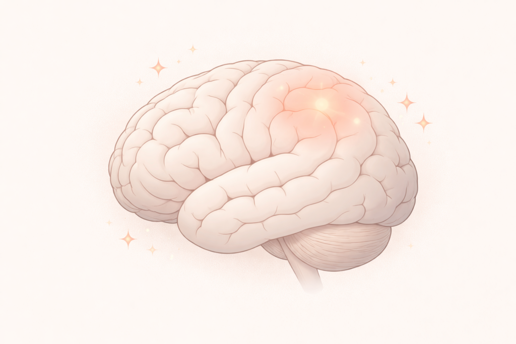 Person relaxing and coloring at a table, illustrating how coloring activates the brain's calm center